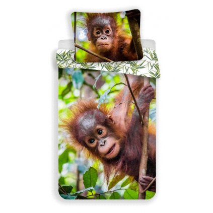 Bavlněné povlečení Orangutan 02 > varianta 01 - Orangutan 02