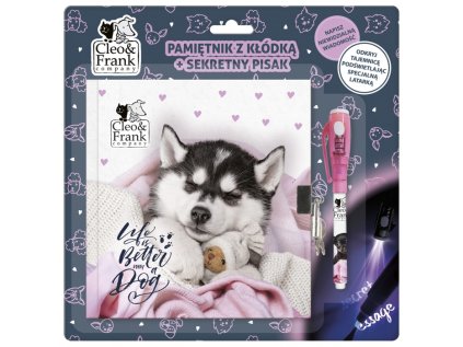 32083 73281 tajny denik se zamkem a tajnym perem cleo a frank pejsci