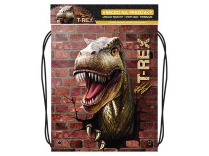 vyr 3970 kapsa na prezuvky s potiskem seria 4 t rex