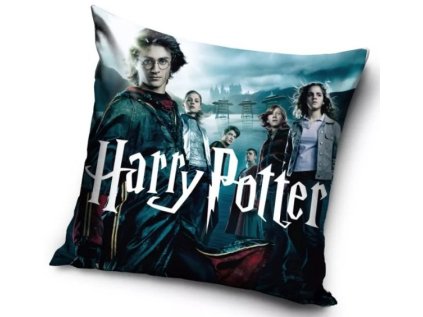 Polštářek Harry Potter > varianta polštářek Harry 03