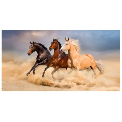 Froté osuška Divocí koně v poušti > varianta osuška Koně Divocí koně v pouš