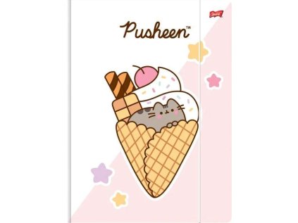 vyr 4081 AF831PRU 1