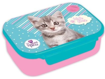 SVAČINOVÝ BOX SWEET PETS KOČKA > varianta 01-079131