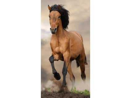 Osuška Kůň Horse brown