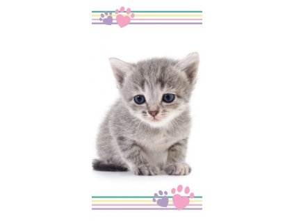 JERRY FABRICS Osuška Kočka kotě Kitten colour