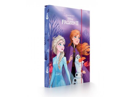 Karton P+P Box na sešity A5 LEDOVÉ KRÁLOVSTVÍ FROZEN OUT3-78520