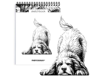 Skicovací notes A5 SP 60l čistý PES