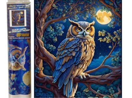 Diamantový obrázek sova a úplněk 30 x 40 cm