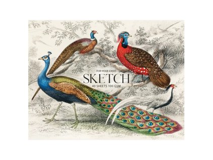 skicovaci nacrtnik v lepenom bloku shkolyaryk a4 40 listov 100g m2 106020032