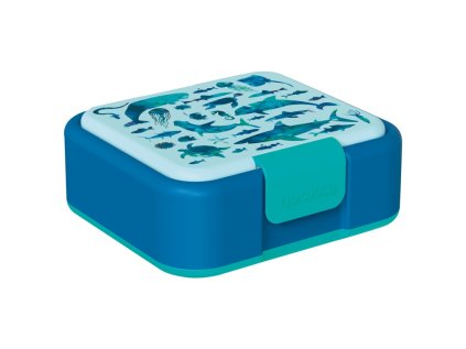 quokka twist deleny plastovy box na jedlo sea animals 40254