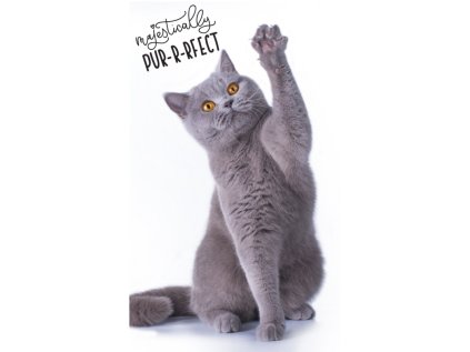 detsky uterak 30 50cm macka tnl191342