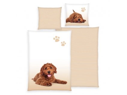 obojstranne bavlnene obliecky young collection hnedy psik 140 20070 90