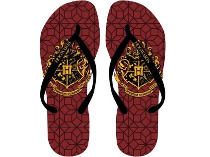 ŽABKY HARRY POTTER em 749 hnědé (Velikost 28-29)