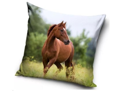 POVLAK NA POLŠTÁŘ KŮŃ Ca 201057 (Velikost uni)