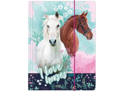 DESKY NA SEŠITY KONĚ DER tg a4 ko 23 (Velikost uni)