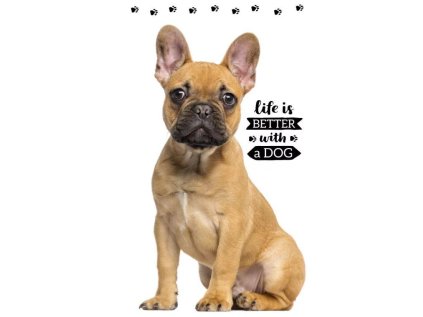 RUČNÍK PEJSEK crbt 191339 (Velikost uni)