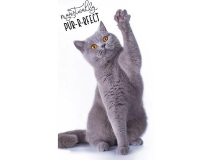 RUČNÍK KOČIČKA crbt 191342 (Velikost uni)