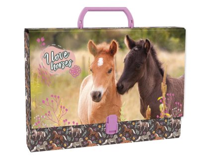 KUFŘÍK KONĚ DER TTRKO24 (Velikost uni)