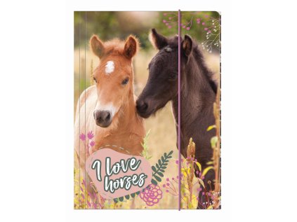 DESKY NA SEŠITY KONĚ DER TGA4 ko 24 (Velikost uni)