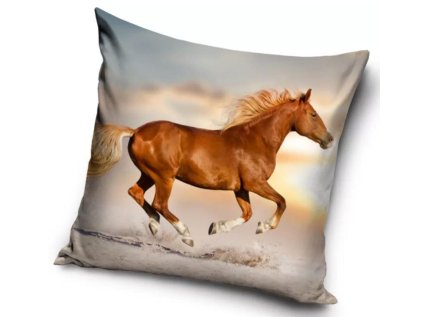 POVLAK NA POLŠTÁŘ KONĚ Car 214098 (Velikost uni)