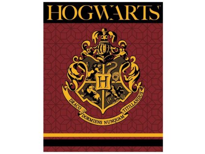 XL FLÍSOVÁ DEKA HARRY POTTER em 361 vínová (Velikost uni)
