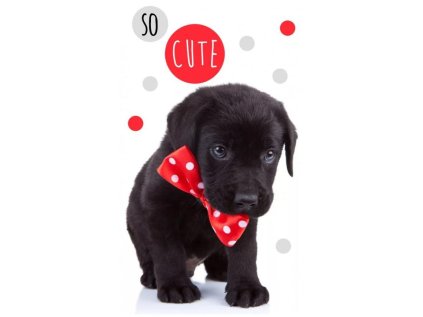 RUČNÍK PEJSEK crbt 202009 black (Velikost uni)