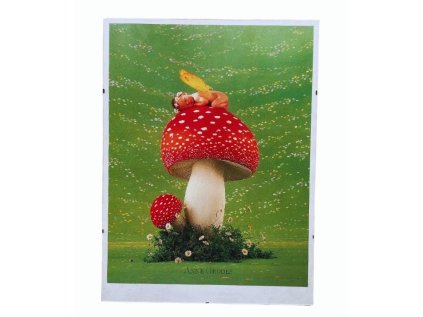 OBRÁZEK ANNE GEDDES 39,5x29,5 cm (Velikost uni)