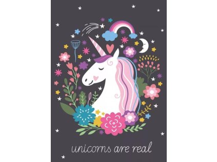 FLÍSOVÁ DEKA UNICORN J 120020 antracitová (Velikost uni)