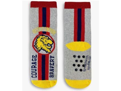 TERRY PONOŽKY HARRY POTTER hu 0649 šedé (Velikost 27-30)