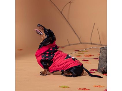 ZIMNÍ OBLEČEK PRO PSA MINNIE S Cer 2800000787 červený (Velikost S)