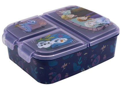 deleny plastovy box na desiatu disney frozen 74220