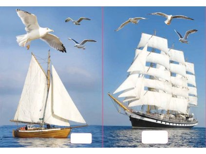 sešit 544 s 3D motivem, A5, 40 listů,linkovaný, motiv lodě