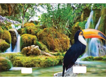 sešit 544 s 3D motivem A5, 40 listů,linkovaný, motiv tukan