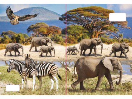 sešit 544 s 3D motivem, A5, 40 listů,linkovaný, motiv sloni