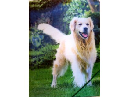 Desky na spisy/výkresy s gumou, motiv pes,3D efekt