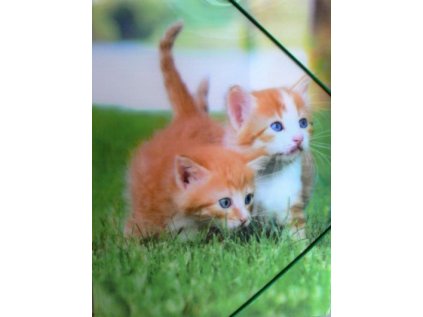 Desky na spisy/výkresy s gumou, motiv koťata,3D efekt