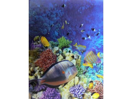 Katalogová kniha,20listů,motiv akvarium,3D efekt