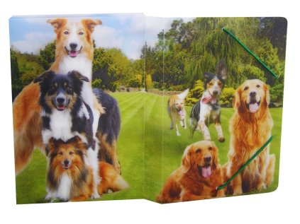 Krabice na sešity s gumou A5,motiv psi,3D efekt