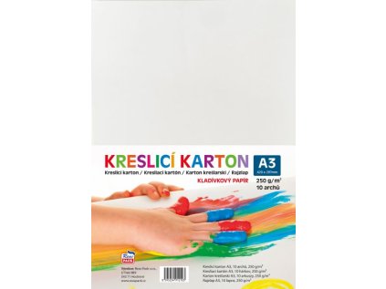 Kreslící karton - kladívkový papír A3 250g, bílý, 10 archů