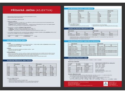 Přehledová tabulka - Přídavná jména