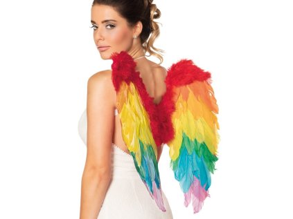 Duhová andělská křídla 50x50 cm