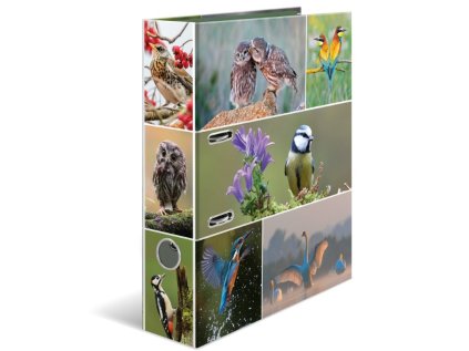 Designový pákový pořadač A4 7cm karton motiv - Ptáci