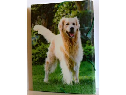 Krabice na sešity A4 s gumou, mix motivů, 3D efekt