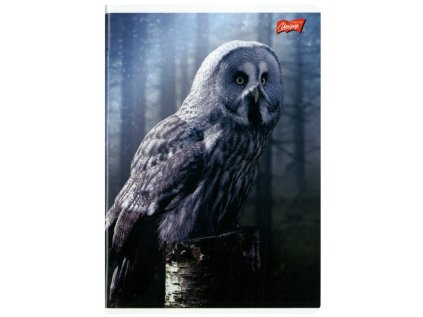 Sešit A5 96 listů, mix 8 motivů, linkovaný, linky 9mm