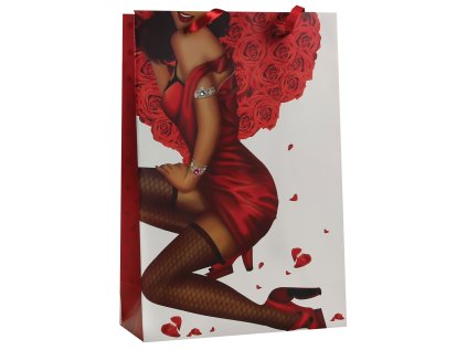 Designová dárková taška, 22,5 x 33,5 x 10cm, balení 12ks