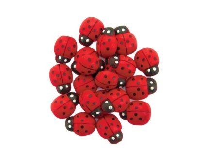 Dekorativní dřevěné berušky 10x13 mm, 20 ks