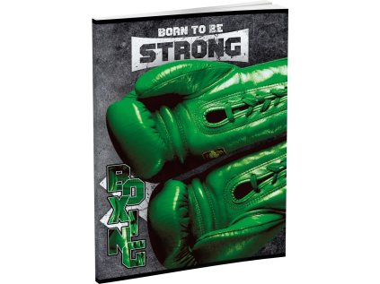 Sešit SMART A5/52listů čtverečkovaný, mix 48 motivů