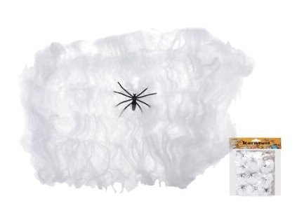 Pavučina s pavoukem