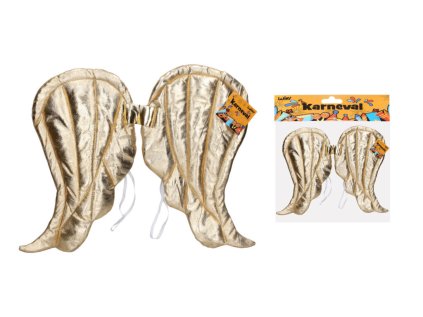 Set karneval - zlatá křídla 50x40 cm