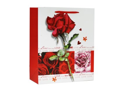 Taška dárková M 26 x 32 x 12, mix motivů/barev